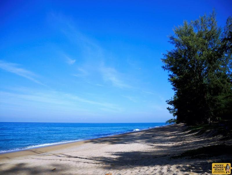 Micky Monkey Beach At Maikhao Beach Hotel Mai Khao Ngoại thất bức ảnh